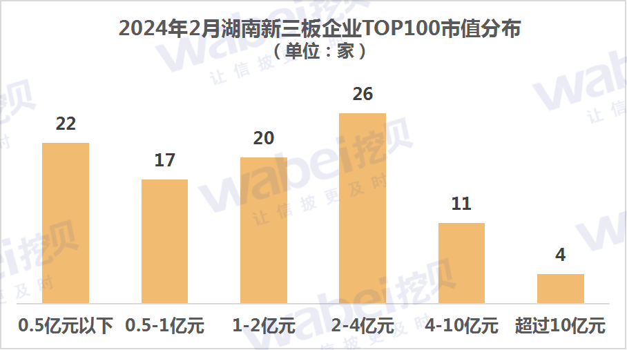 2024年2月湖南新三板企业市值TOP100：4家企业市值超过10亿元